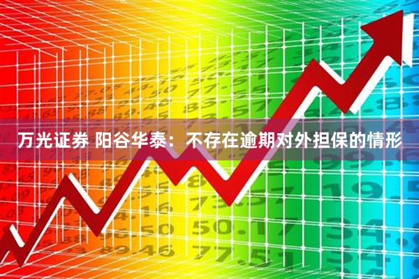 万光证券 阳谷华泰：不存在逾期对外担保的情形