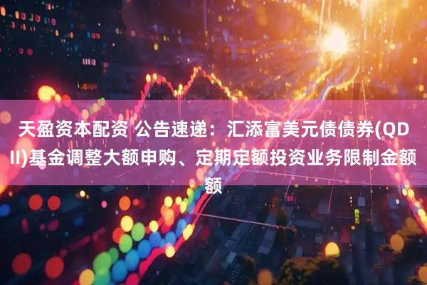 天盈资本配资 公告速递：汇添富美元债债券(QDII)基金调整大额申购、定期定额投资业务限制金额